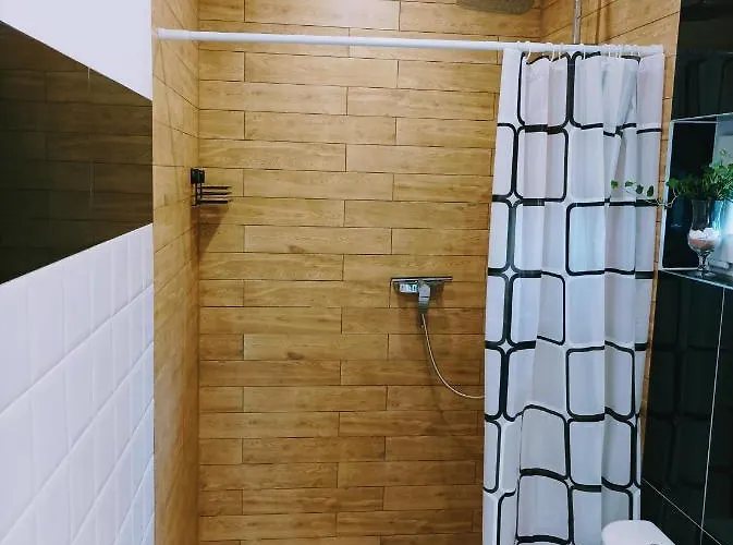 Jasien 77 B Apartment *